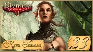 Divinity: Original Sin II ★ 23: Дракон Слейн и ведьма Радека.