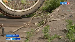 «Детей не выпускаю, сама не выхожу». В Нанайском районе идёт поиск тигра, напавшего на человека