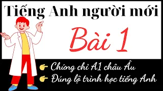 Tiếng Anh người mới bắt đầu A1 - Bài 1: Viên gạch đầu tiên