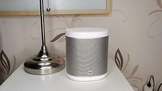 Разговор с Марусей. Тест Xiaomi mi smart speaker