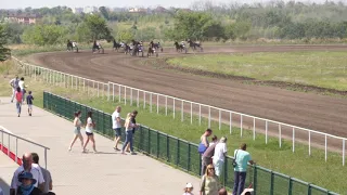 Вступительный орловский приз. 21.07.19 Воронежский ипподром