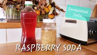 Make FERMENTED RASPBERRY SODA | Fermented Soda Series: All the Knowledge to make Fermented Soda