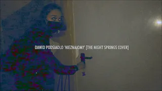 Dawid Podsiadlo - Nieznajomy [THE NIGHT SPRINGS COVER]