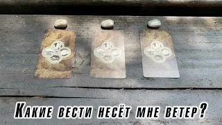 Какие вести несёт мне ветер? Гадание на таро Карина Захарова