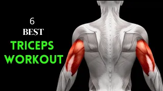 The 6 Most Effective Triceps Exercises | Fitkill #tricepworkout