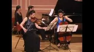 Brahms Piano Trio No. 3 in C minor, Op. 101 - I. Allegro energico (Namirovsky-Lark-Pae Trio)