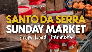 What to do in MADEIRA on a SUNDAY!? - Santo da Serra Farmer's Market