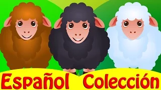 Baa Oveja Negra (Colección) | Canciones infantiles en Español | ChuChu TV