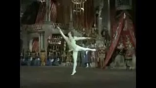 Swan Lake Act III excerpts