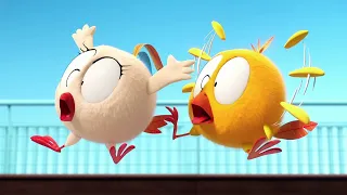Where's Chicky? Funny Chicky 2023 | THE CRAZY CARS | Cartoon in English for Kids | New episodes
