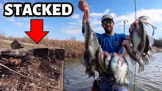 The SLAB CRAPPIE Were STACKED Under This RANDOM WALL!!! {Catch Clean Cook} Delicious Fish Tacos!