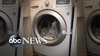 Parents say toddler got stuck in washing machine