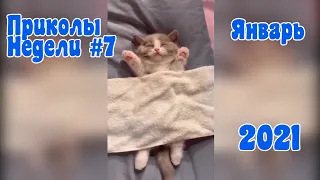 Лучшие приколы недели Январь 2021 #7 - Funny videos of the week January 2021 #7