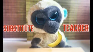 Beanie Boos: SUBSTITUTE TEACHER