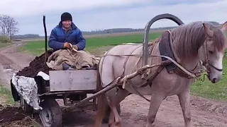 ЛОШАДИ В РАБОТЕ🐎НА КОБЫЛЕ БАГИРЕ ВОЗИМ НАВОЗ💪