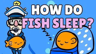 How Do Fish Sleep? | Best Learning Videos For Kids | Thinking Captain