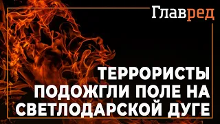 Огненная провокация - Террористы подожгли поле на Светлодарской дуге