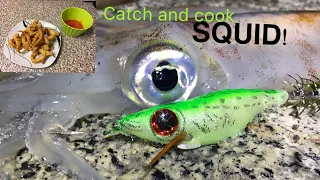 SQUID, Catch , Clean , Cook ! Fishing for Squid !