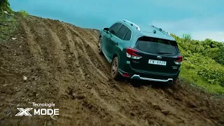 Subaru New Forester | Inchcape Retail