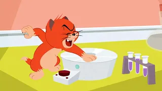 Tom et Jerry en Français | Jerry et Ses Amis