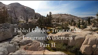 Fabled Golden Trout of the Emigrant Wilderness - Solo Backpacking Part II Fly Fishing