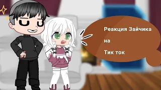 ~Реакция Зайчика~(tiny bunny)на тик ток•