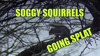 SQUIRREL HUNTING IN THE WORST CONDITIONS EVER.