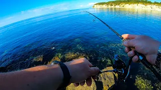 Rockfishing на Чёрном море!!! Сарган, Ласкирь, Луфарь!!! Rockfishing in the Black sea!!!