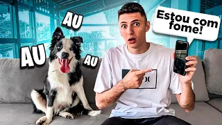 BAIXEI UM APLICATIVO QUE TRADUZ OS LATIDOS DO MEU CACHORRO | O MUNDO DE SIMBA #17