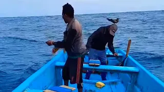 TUNA FISH CATCHING SKILLS IN INDIAN OCEAN SEA AMAZING FISHING VIDEOS