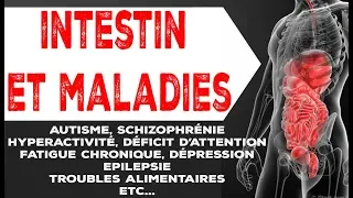 Comment L'INTESTIN fabrique les MALADIES - Dr. Natasha Campbell-McBride