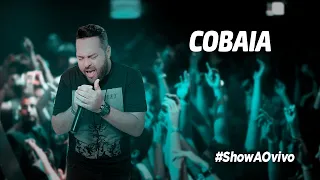 Cobaia  Lauana Prado (Cover Alex Baronne) ao vivo