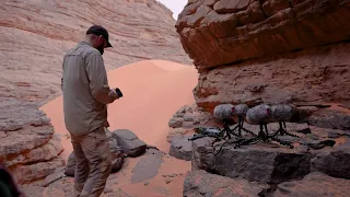 Field recording behinds the scenes 43 - Recording desert sounds in the Sahara