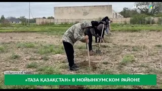 «Таза Қазақстан» в Мойынкумском районе