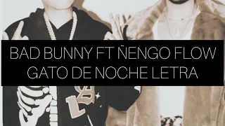 Bad Bunny Ft. Ñengo Flow - Gato De noche Letra/Lyrics