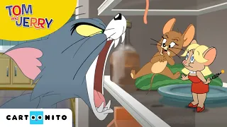 Tom & Jerry auf wilder Jagd | Ferngsteuerte Roboter-Maus | Cartoonito