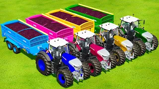 HARVESTING AND LOAD RED CABBAGE WITH FENDT 1000 COLORED TRACTORS - Farming Simulator 22