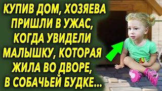 Купив дом, хозяева пришли в шок, увидев что находилось в собачей будке…