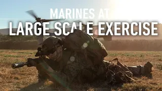 Large Scale Exercise 21