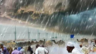 Madness happens in Saudi Arabia! Walnut-sized hailstones and floods in Al-Qassim!