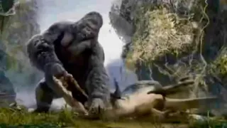 (KING KONG VS THE V REX: RESOUND 🦍 🦖 🔊)