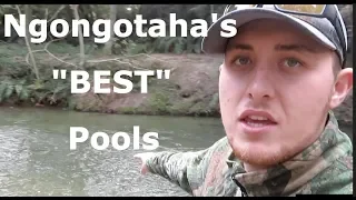 Ngongotaha Stream's "Best" Pools!!