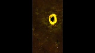 Black Hole Destroys Star for Being too Close