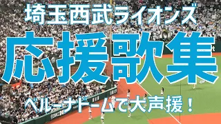 【フラッグを使った大声援！応援歌集】埼玉西武ライオンズ（2023）ベルーナドーム