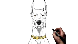 How To Draw A Dobermann | Step By Step