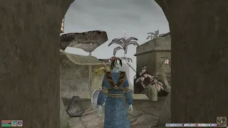 Talky Morrowind + Tamriel Rebuilt - Mainland Temple - Andothren Charity