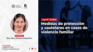 Medidas de Protección y Cautelares en Casos de Violencia Familiar | Mery Alonzo velapatiño