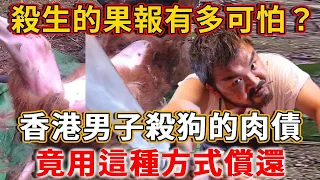 香港狗販子的真實經歷：殺狗的「肉債」竟用這種方式償還！果報來得又快又猛！  #禪語