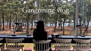 [vlog]아 내일 휴문데 혼자 강릉이나 갔다올까~?🫠 : 급 뚜벅 1박2일 강릉 혼여 브이로그🕶✌🏻