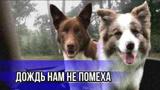 Дождик для нас не помеха 🌧